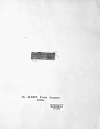Image of Propolis lecanora
